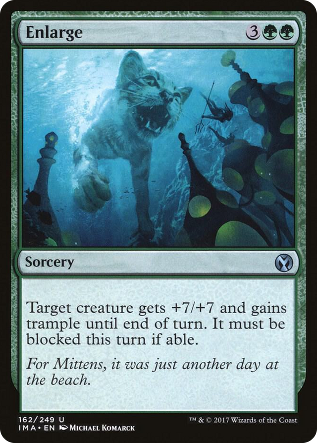 0162 Enlarge U Iconic Masters