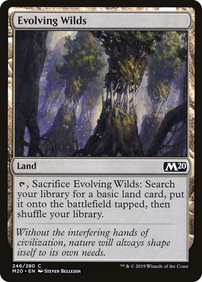 0246 Evolving Wilds C Core Set 2020