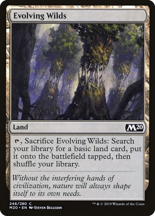 0246 Evolving Wilds C Core Set 2020