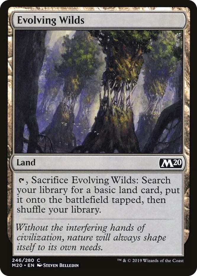 0246 Evolving Wilds C Core Set 2020