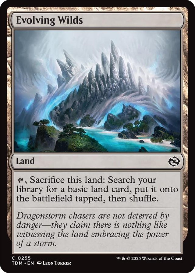 0255 Evolving Wilds C Dragonstorm