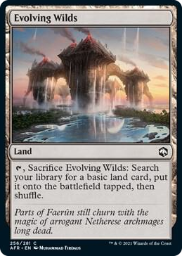 0256 Evolving Wilds C Adventures in the Forgotten Realms