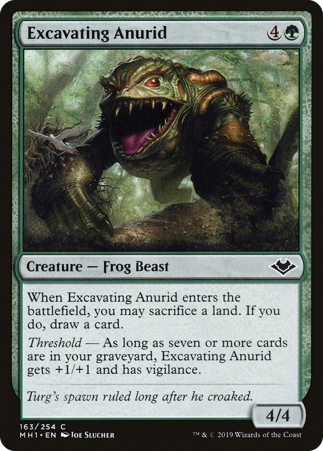 0163 Excavating Anurid C Modern Horizons