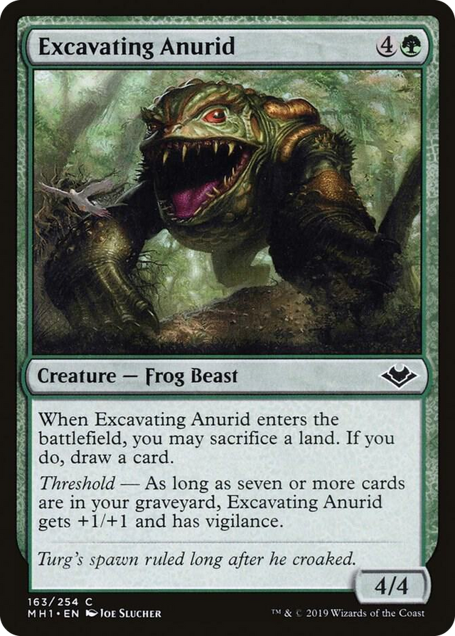 0163 Excavating Anurid C Modern Horizons