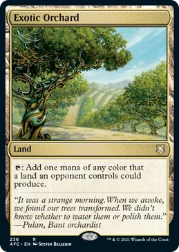 0236 Exotic Orchard R Commander: Adventures in the Forgotten Realms