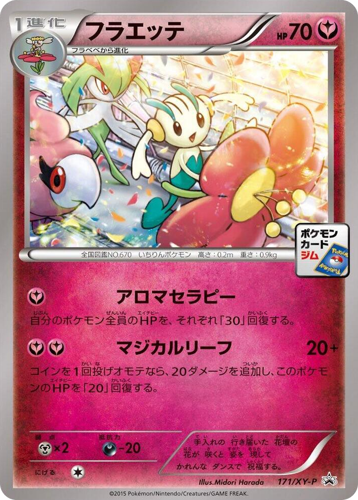 0171 Floette - 171/XY-P Common XY-P: XY Promos