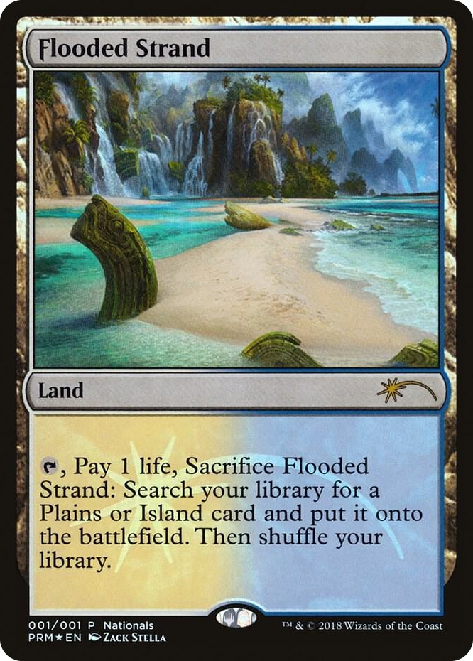 Flooded Strand #1 P - Unique and Miscellaneous Promos Pokemon card