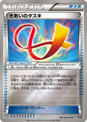 0123 Focus Sash None The Best of XY