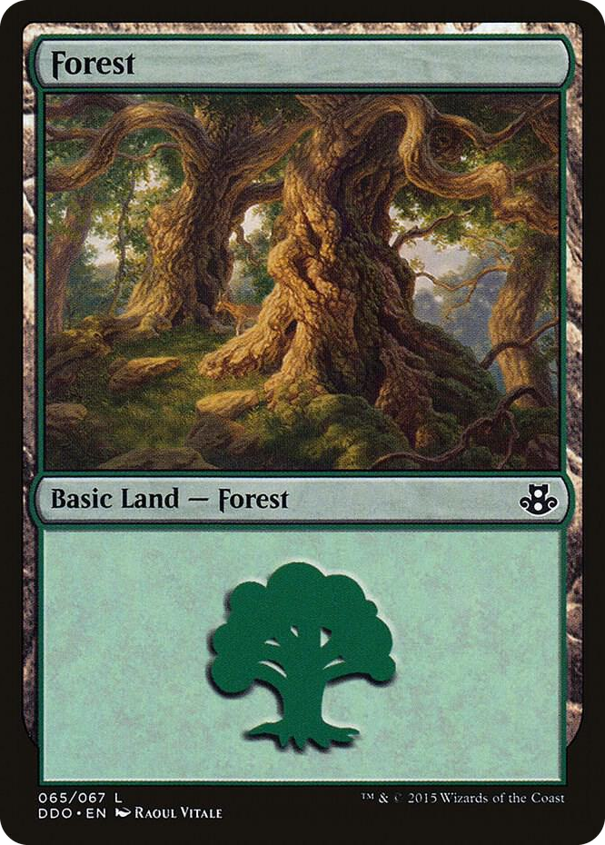 0065 Forest (065) L Duel Decks: Elspeth vs. Kiora