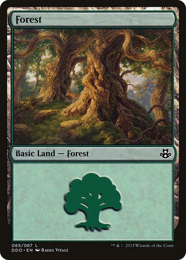 0065 Forest (065) L Duel Decks: Elspeth vs. Kiora