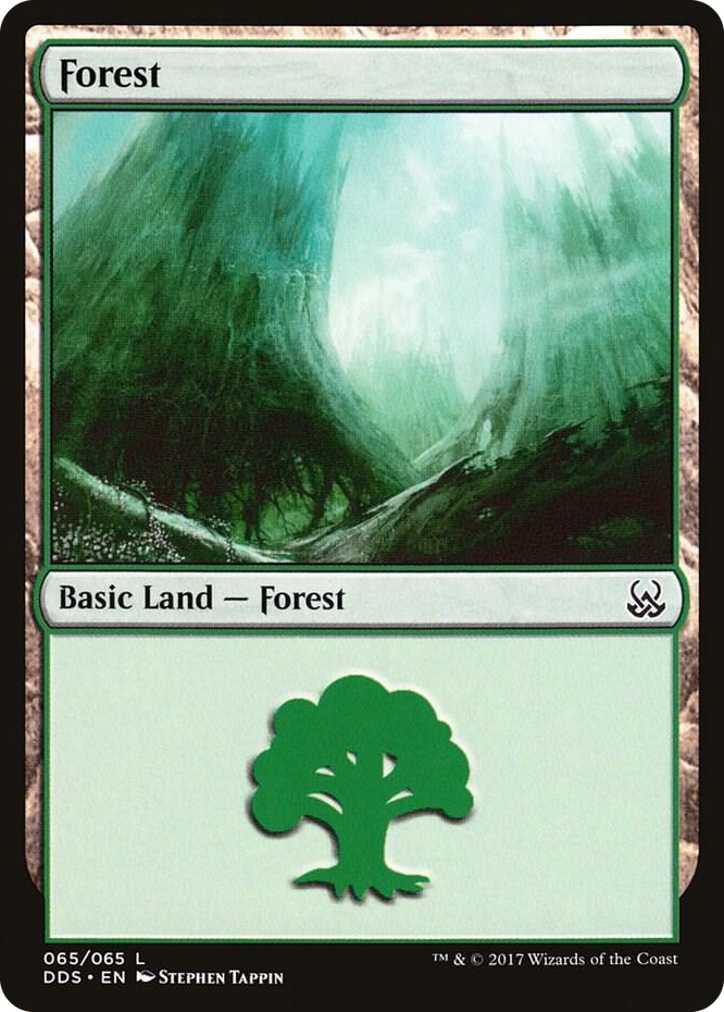 Forest (065) #65 L - Duel Decks: Mind vs. Might Pokemon card