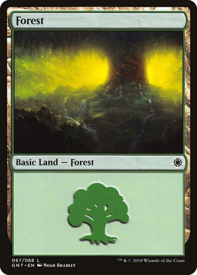 0067 Forest (067) L Magic Game Night