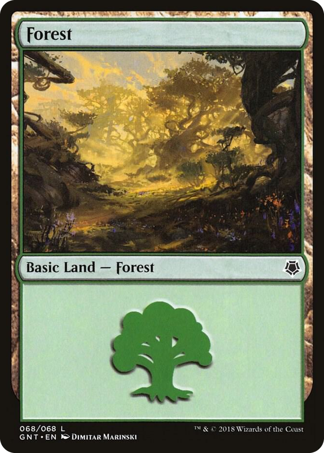 0068 Forest (068) L Magic Game Night