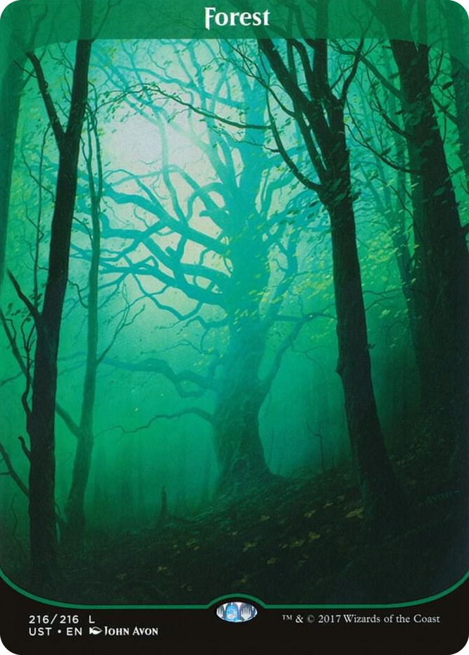 0216 Forest L Unstable