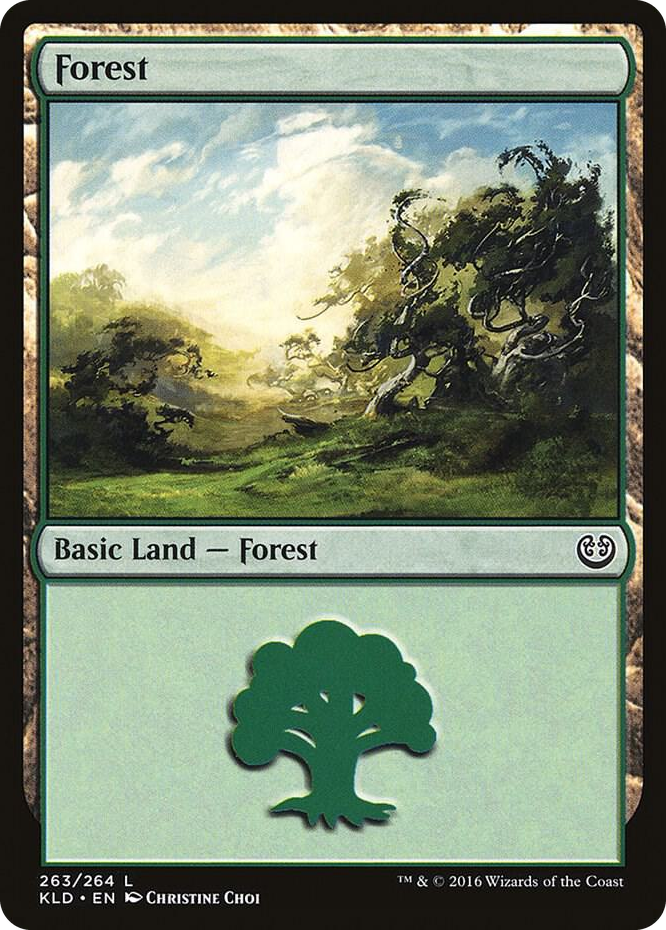 Forest (263) #263 L - Kaladesh Pokemon card