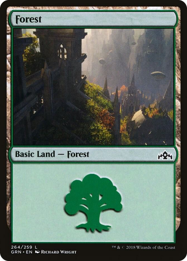 0264 Forest L Guilds of Ravnica