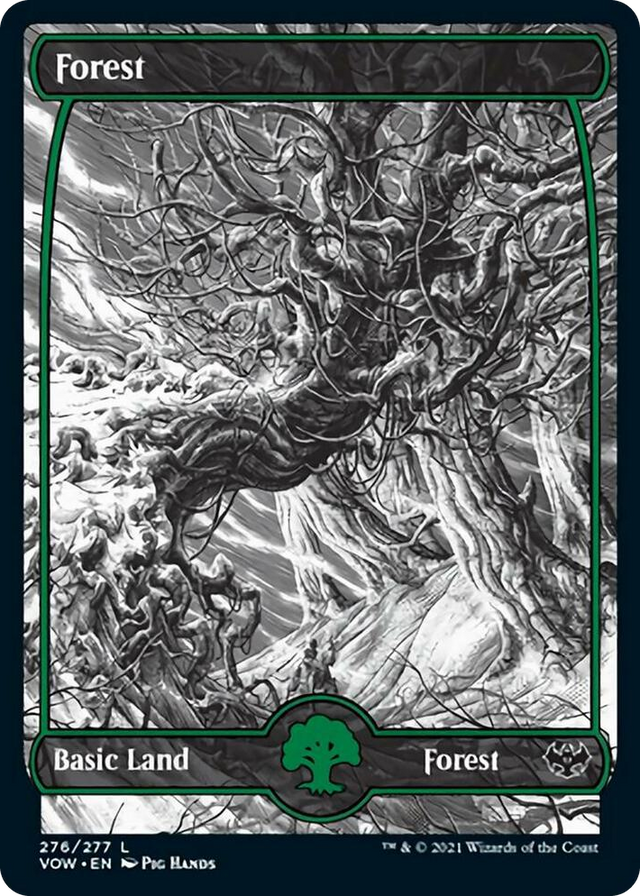 0276 Forest (276) L Innistrad: Crimson Vow