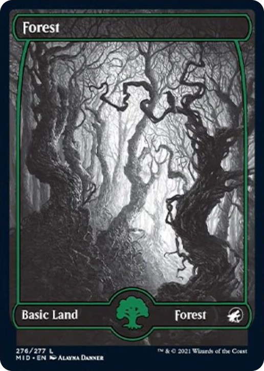 0276 Forest (276) L Innistrad: Midnight Hunt