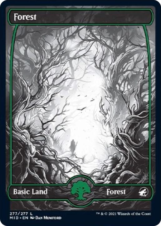 0277 Forest (277) L Innistrad: Midnight Hunt