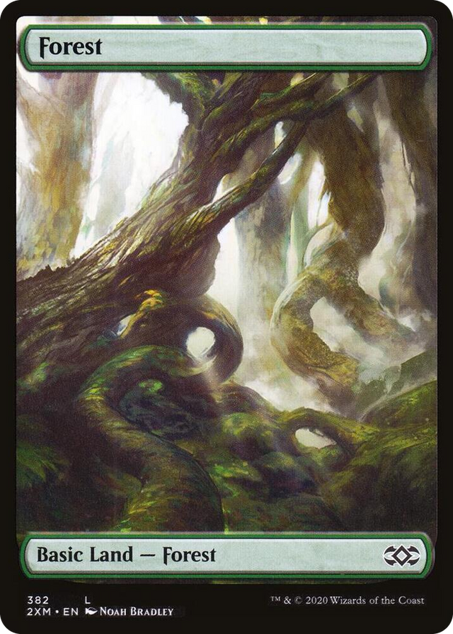 0382 Forest (382) L Double Masters