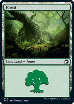 0384 Forest (384) L Innistrad: Midnight Hunt