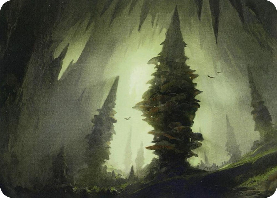 0055 Forest (55/81) Art Card S Art Series: Adventures in the Forgotten Realms
