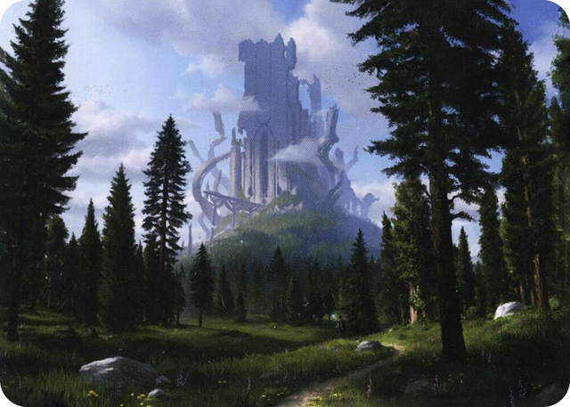 0061 Forest (61/81) Art Card S Art Series: Adventures in the Forgotten Realms