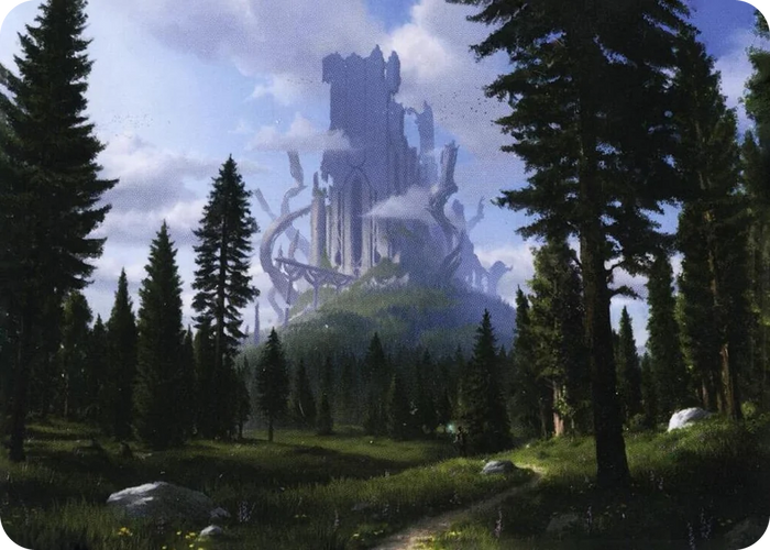 0061 Forest (61/81) Art Card S Art Series: Adventures in the Forgotten Realms