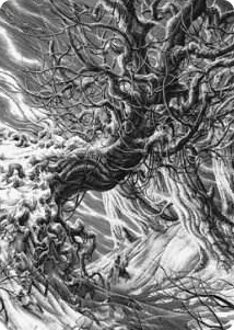 0081 Forest Art Card S Art Series: Innistrad: Crimson Vow
