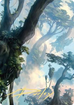 0019 Forest Art Card (19/81) (Gold-Stamped Signature) S Art Series: Zendikar Rising