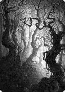 0080 Forest Art Card (80/81) S Art Series: Innistrad: Midnight Hunt