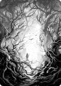 0081 Forest Art Card (81/81) S Art Series: Innistrad: Midnight Hunt