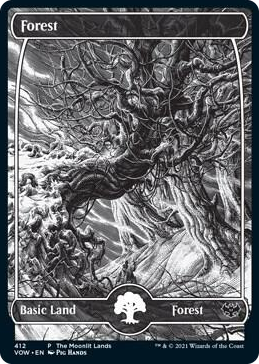 Forest (Moonlit Land) (Foil Etched) #412 L - WPN & Gateway Promos Pokemon card