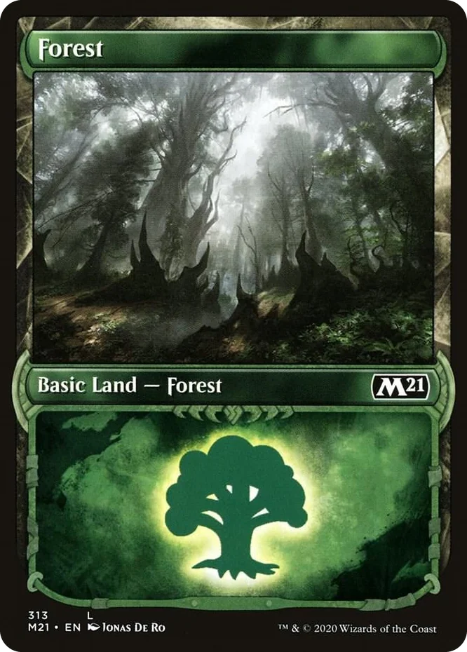 0313 Forest (Showcase) L Core Set 2021