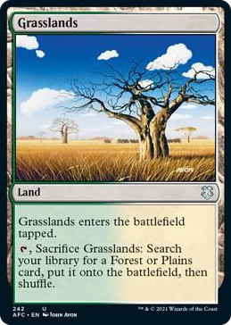 0242 Grasslands U Commander: Adventures in the Forgotten Realms