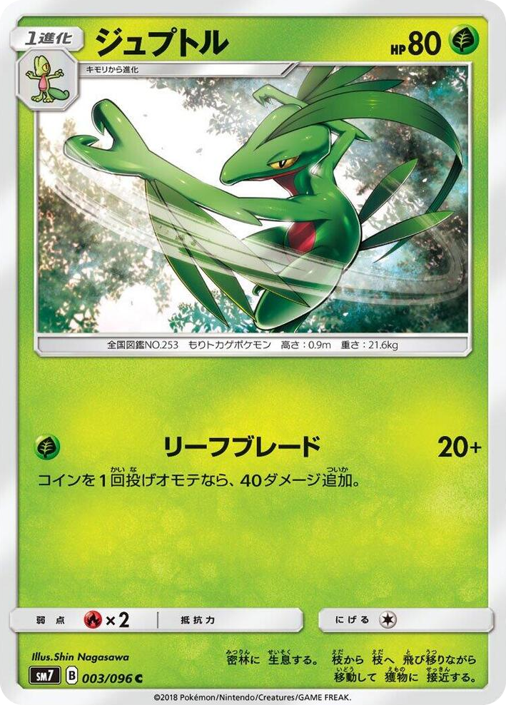 0003 Grovyle Common Sky-Splitting Charisma