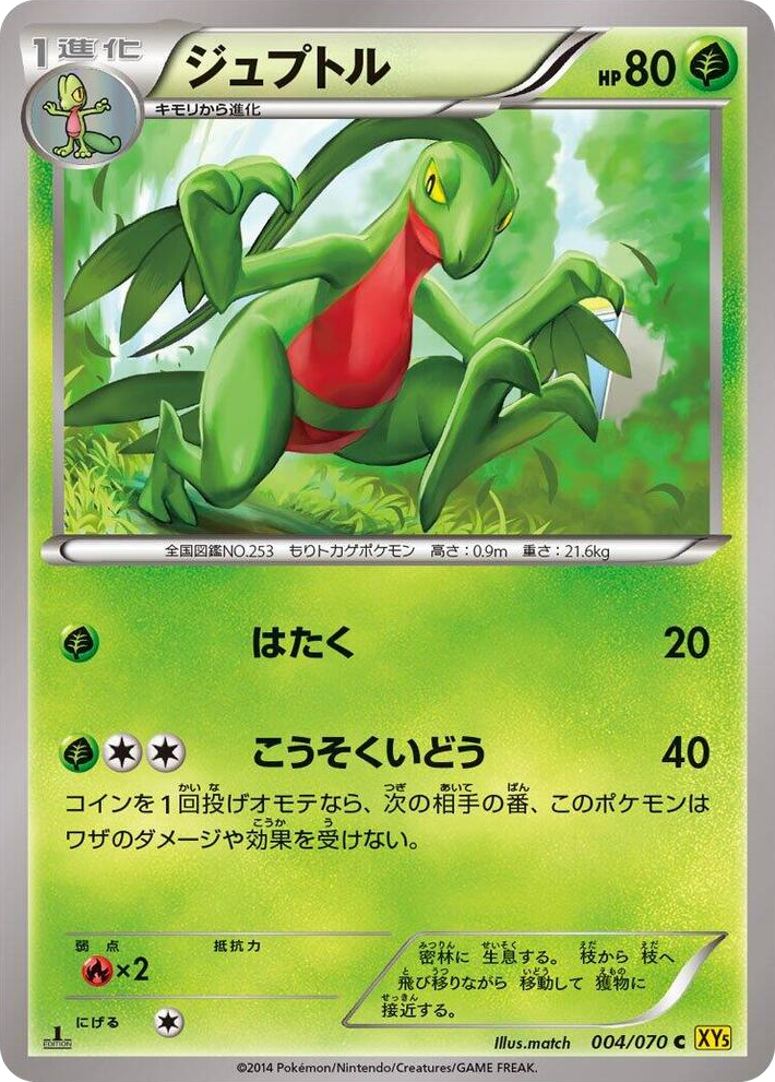 0004 Grovyle Common XY5-Bg: Gaia Volcano