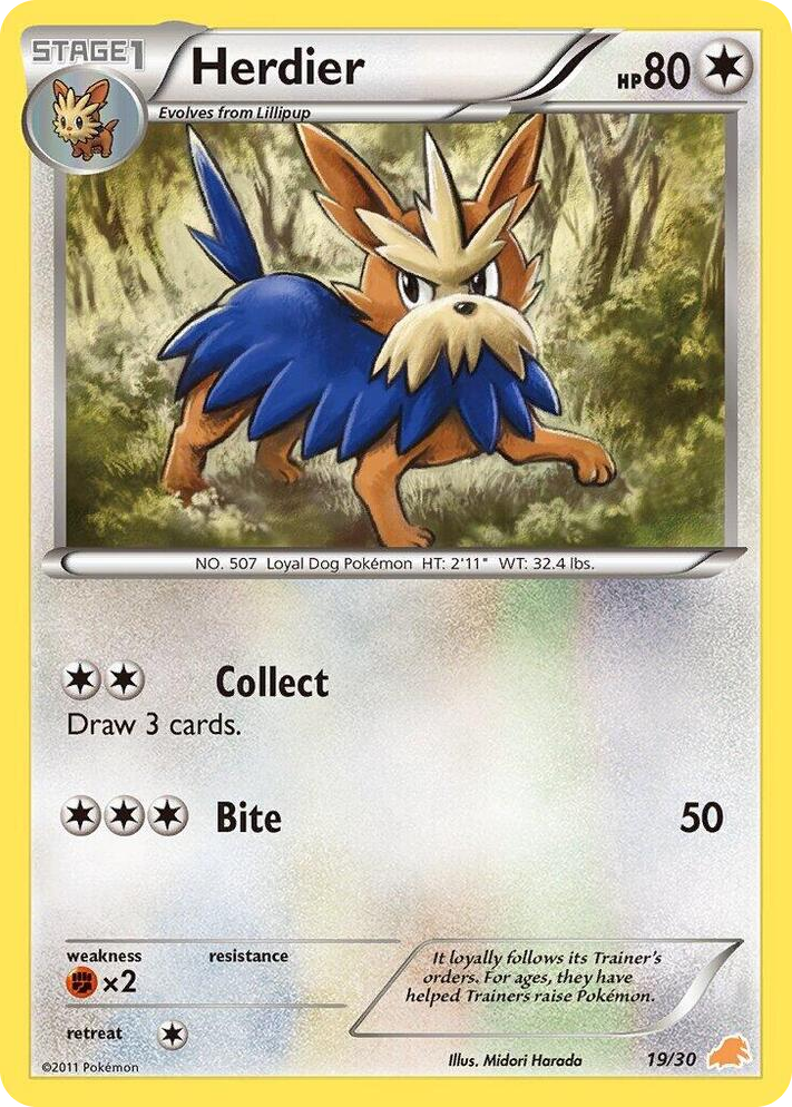 0019 Herdier Common BW Trainer Kit: Excadrill & Zoroark