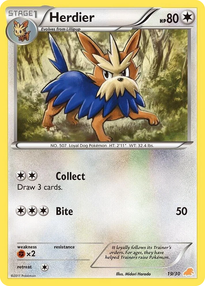 0019 Herdier Common BW Trainer Kit: Excadrill & Zoroark
