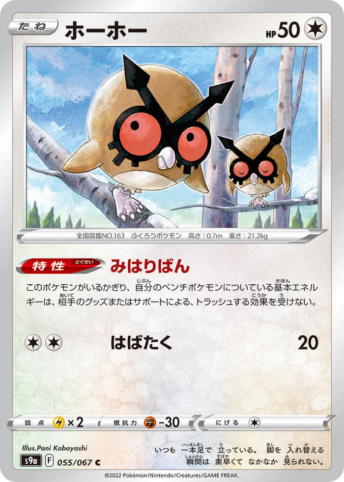 0055 Hoothoot Common Battle Region
