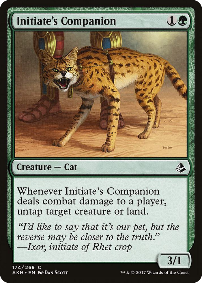 Initiate's Companion #174 C - Amonkhet Pokemon card