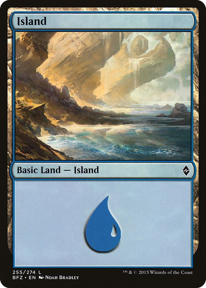 Island (255) #255 L - Battle for Zendikar Pokemon card