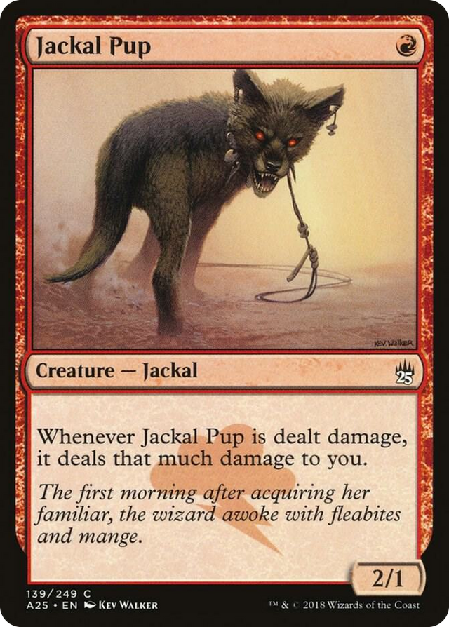 0139 Jackal Pup C Masters 25