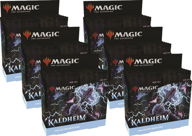 Kaldheim - Collector Booster Display Case