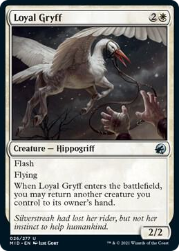 0026 Loyal Gryff U Innistrad: Midnight Hunt