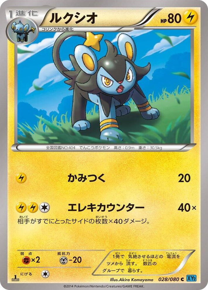 0028 Luxio Common Wild Blaze