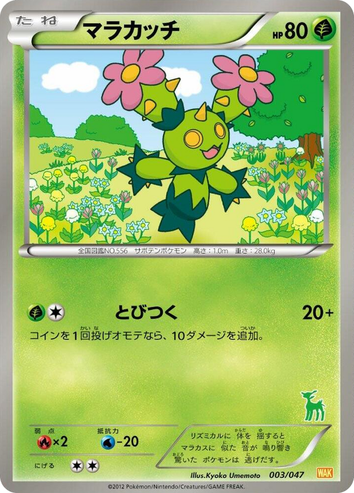 Maractus None #3