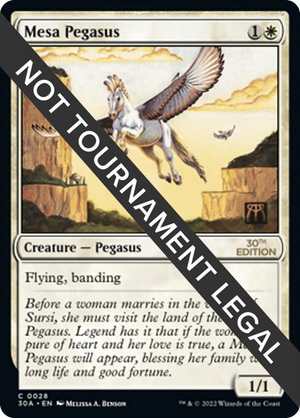 0028 Mesa Pegasus C 30th Anniversary Edition