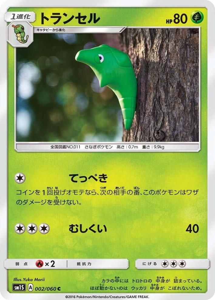 0002 Metapod Common Collection Sun