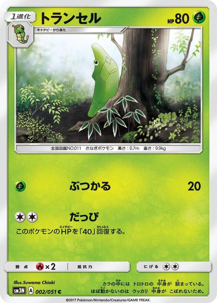 0002 Metapod Common Darkness that Consumes Light